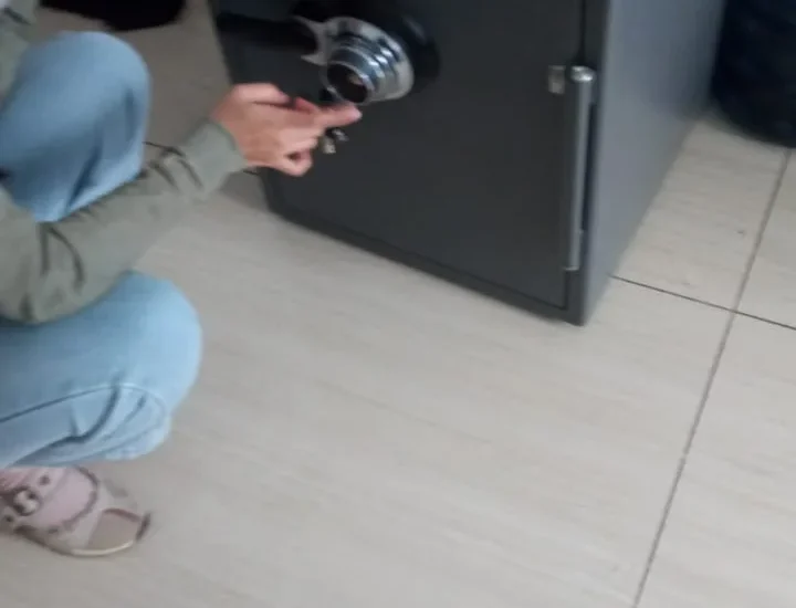 AHLINYA SERVICE BRANKAS