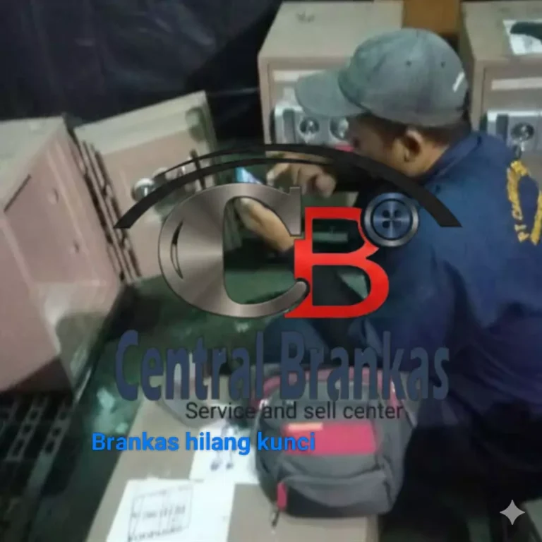 AHLINYA SERVICE BRANKAS